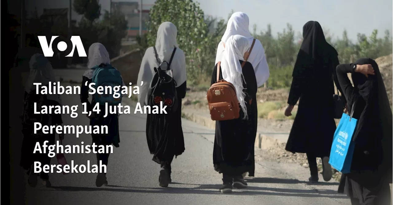 Taliban ‘Sengaja’ Larang 1,4 Juta Anak Perempuan Afghanistan Bersekolah