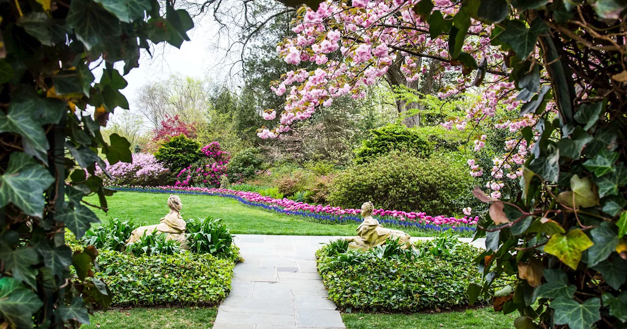 8 Botanical Events This Summer That Plant Parents Will Love