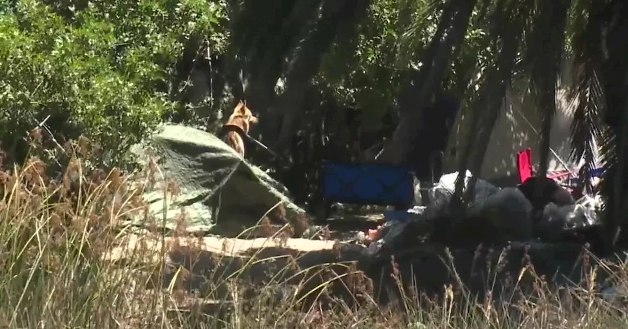 $17M grant to help hundreds of homeless living along San Diego river