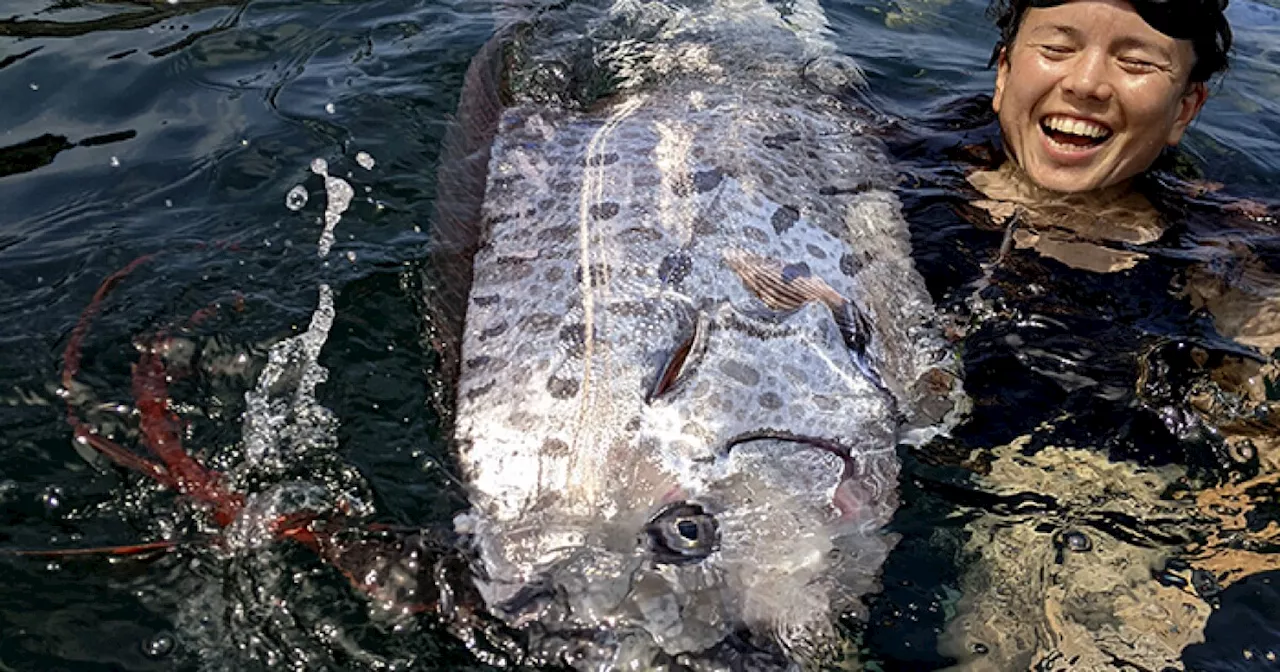 A rarely seen deep sea fish is found in California, and scientists want to know why