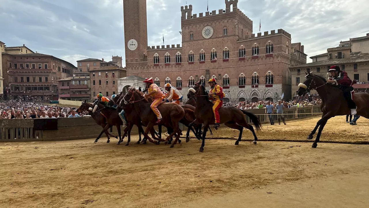 Palio di Siena, ecco chi ha vinto la 'Provaccia'