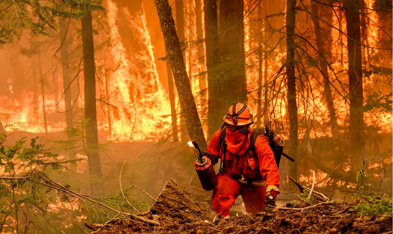 Klimahandling er stadig mere påtrængende