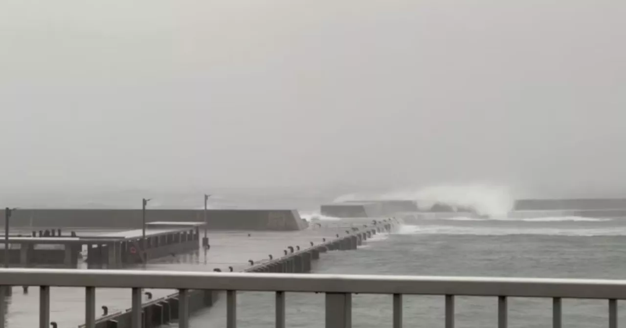 Tokyo braces for Typhoon Ampil as homes evacuated, flights cancelled