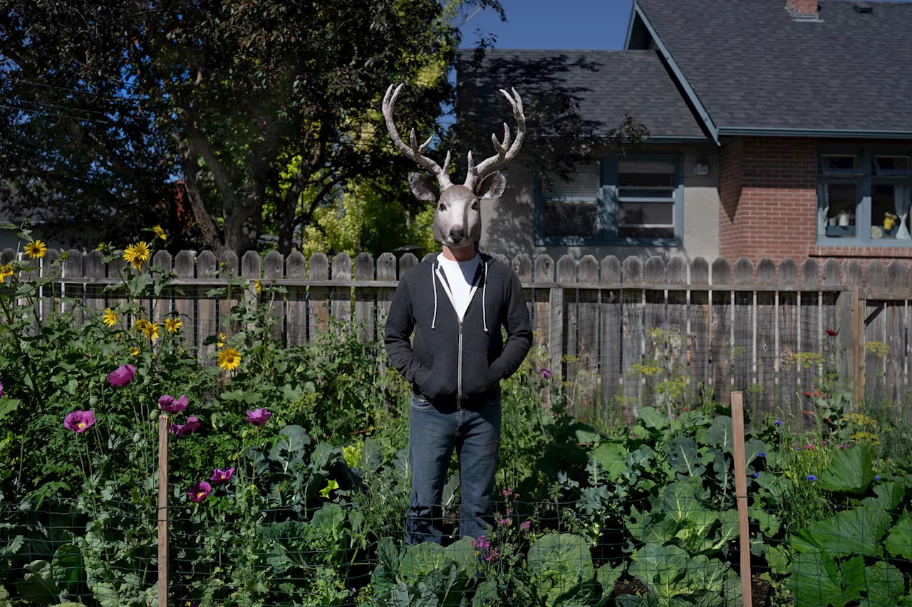Mitch Kern’s Performance Project Flips the Idea of Suburbia on its Head