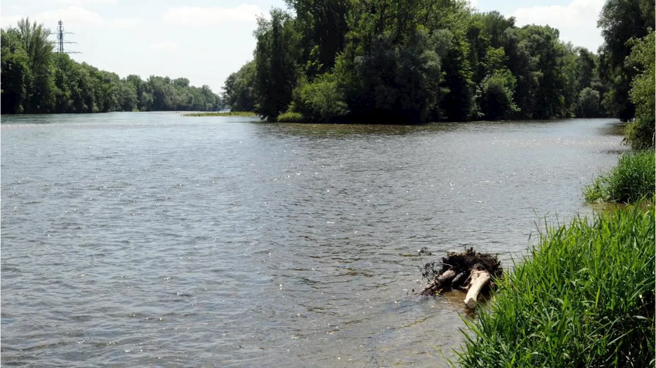 Wasserwacht rettet Schwimmerin aus der Wertach