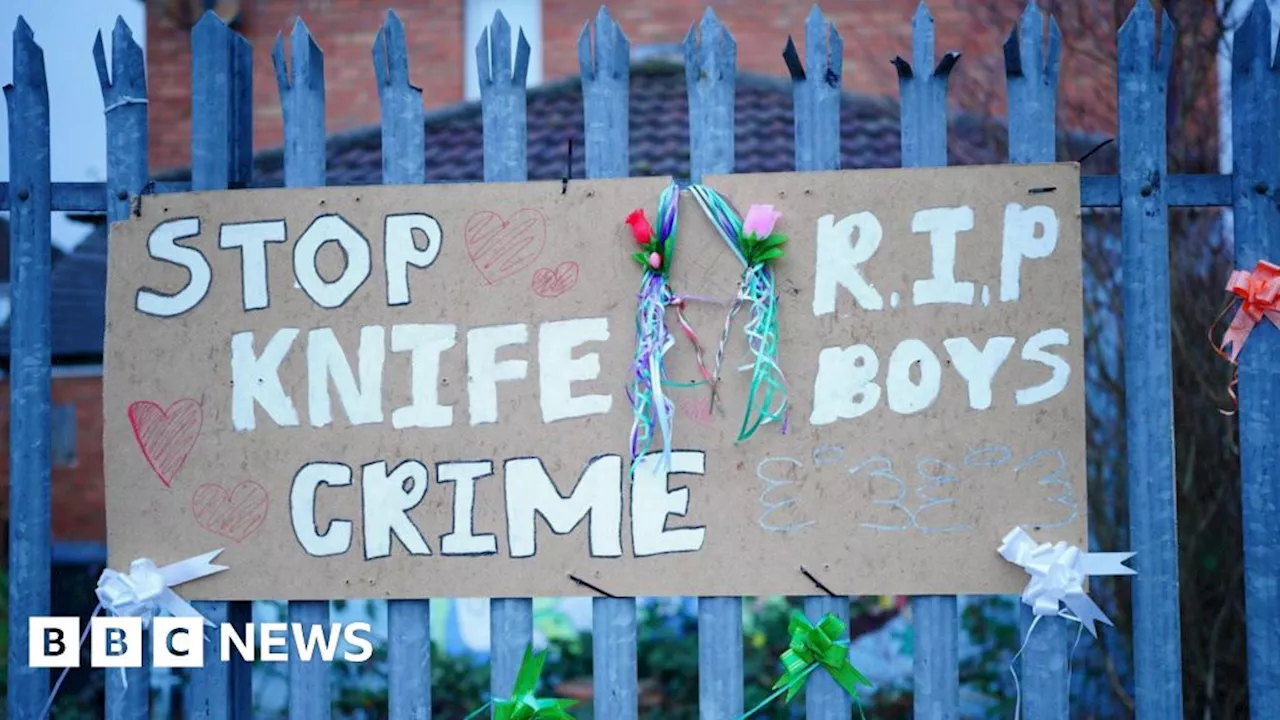 Bristol's Operation Remedy: Hunting zombie knives in a city plagued by violence