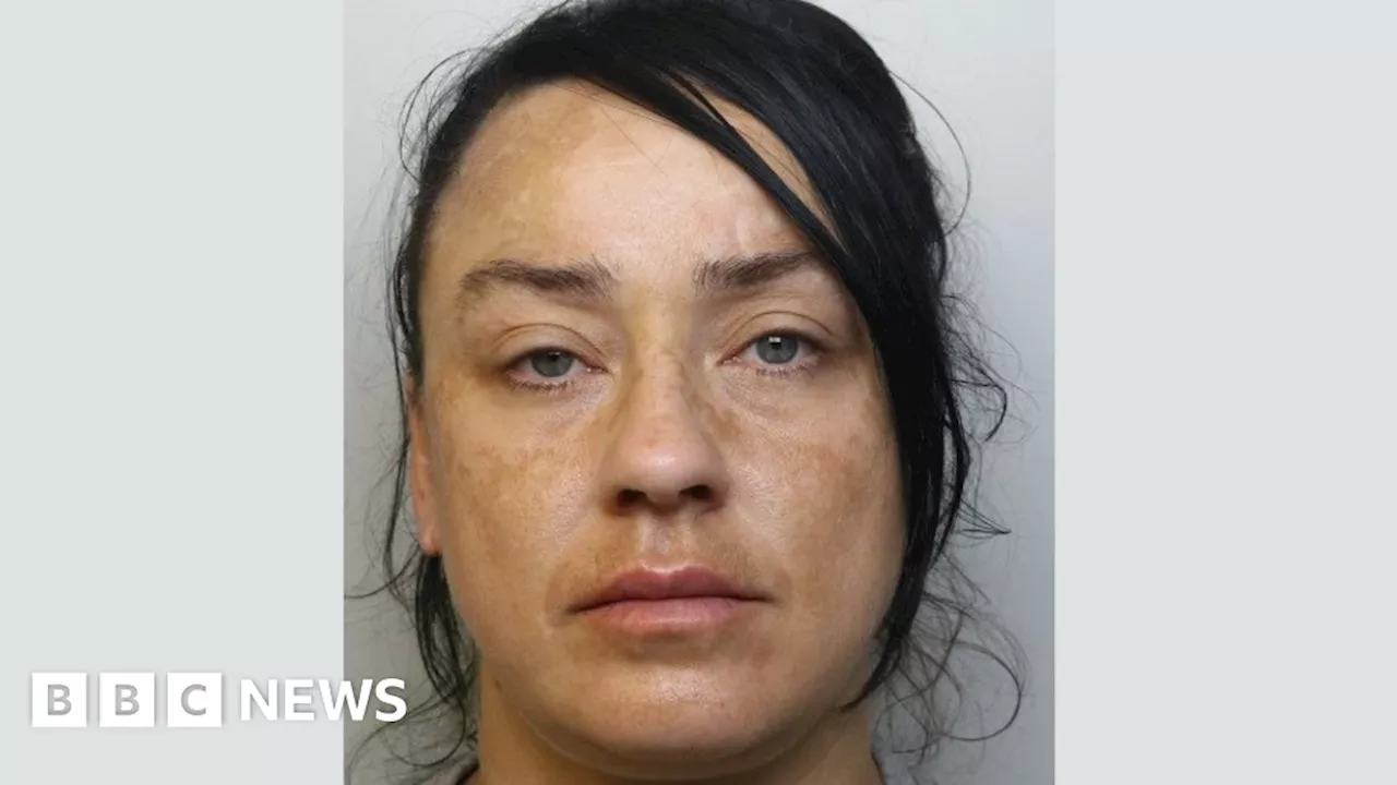 Bristol woman jailed for involvement in 'terrifying' mob