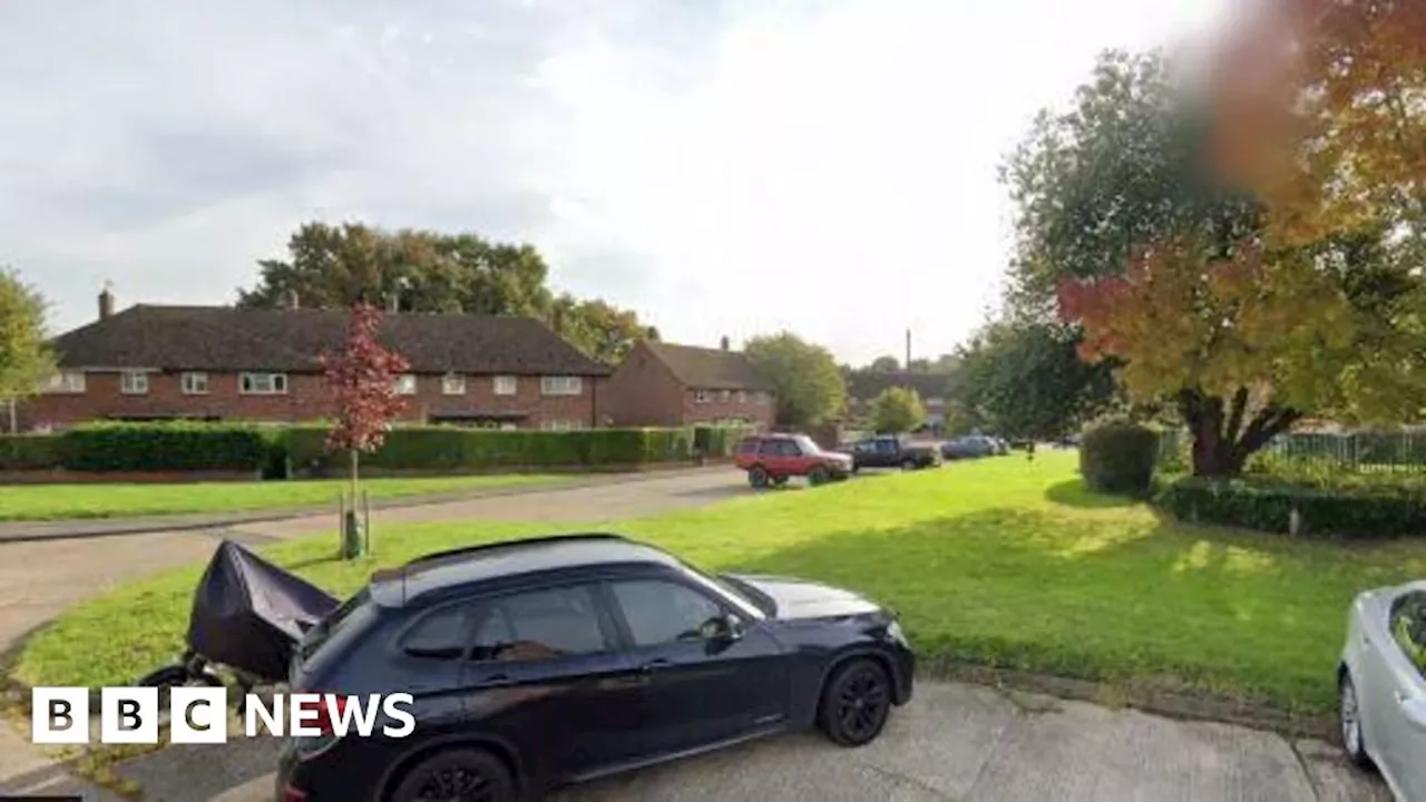 Woking: Man shot by armed police in Surrey dies