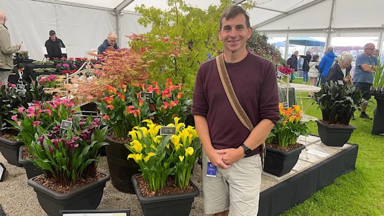 Walton-le-Dale flower nursery wins gold medal award at Southport Flower Show