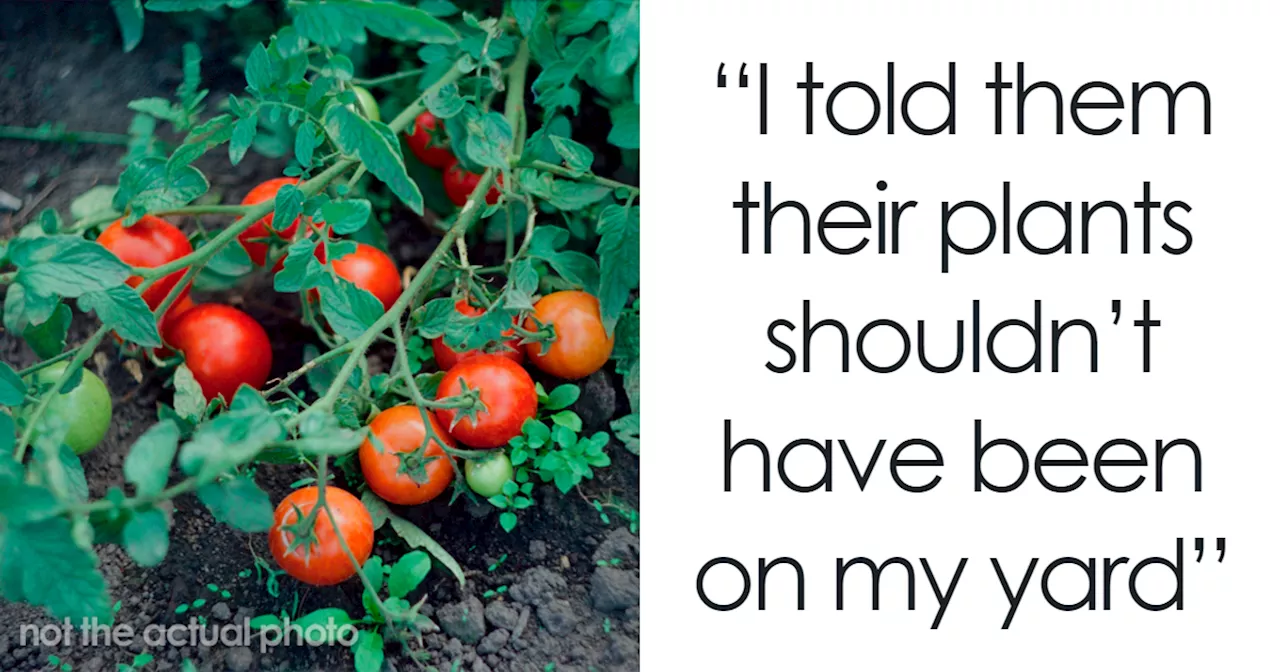 Woman Rips Out Neighbors’ Veggies From Her Own Backyard, They Demand Compensation