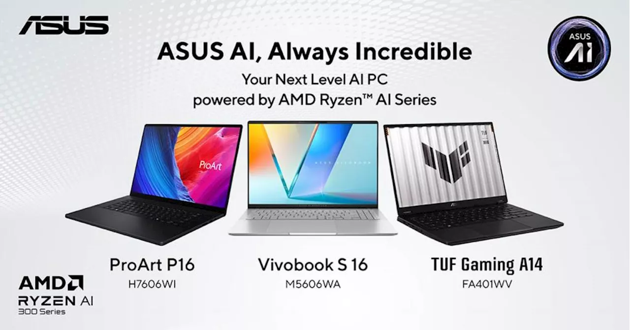 ASUS PHL launches new AI PCs with AMD Ryzen AI 300 series processors