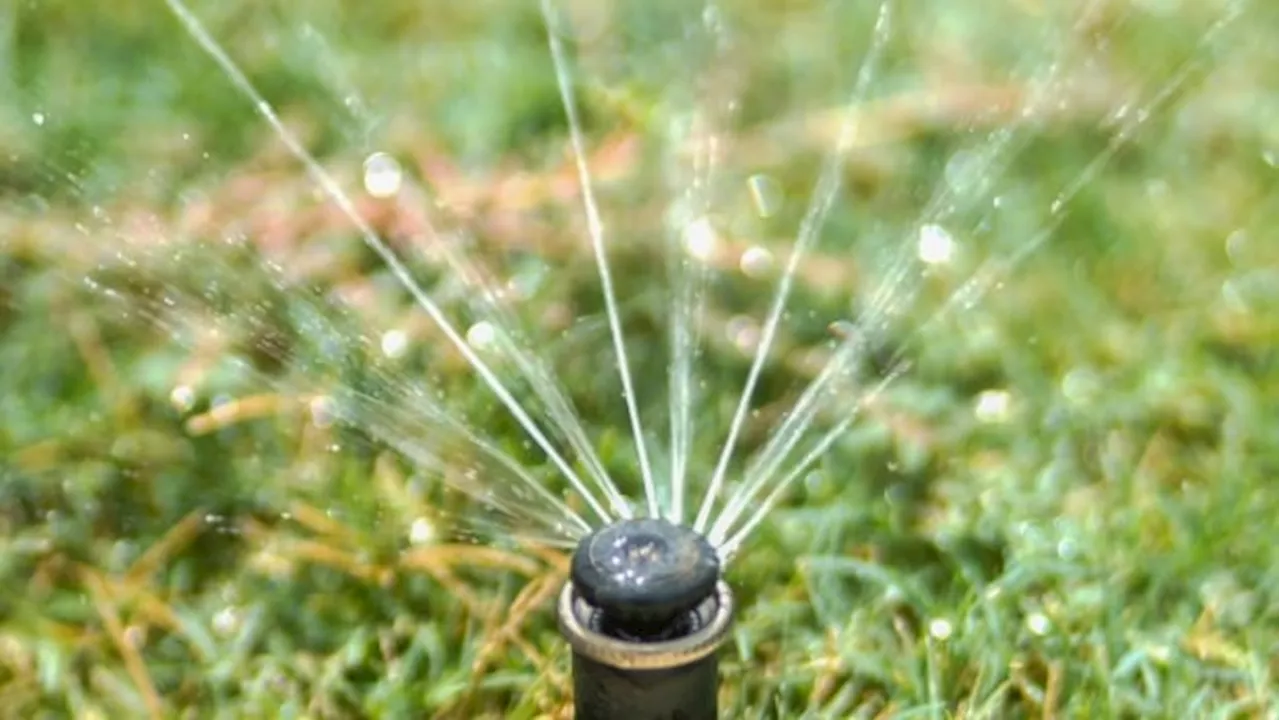 Landscape Alberta says industry is 'drowning' due to Calgary water restrictions