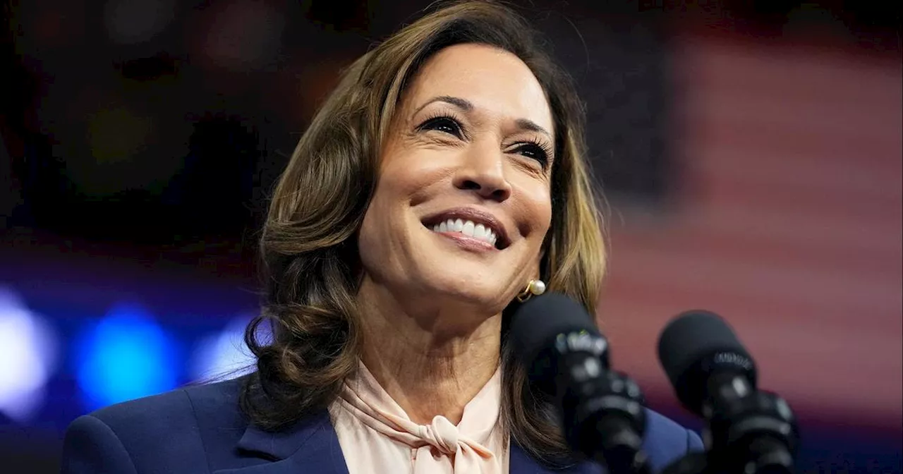 Hound Lovers for Harris, Kallin' for Kamala: part of Harris campaign pre-convention organizing blitz