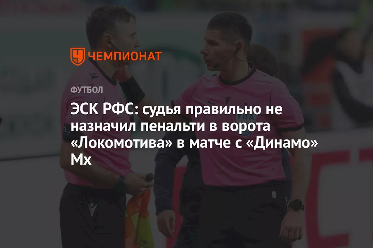 ЭСК РФС: судья правильно не назначил пенальти в ворота «Локомотива» в матче с «Динамо» Мх