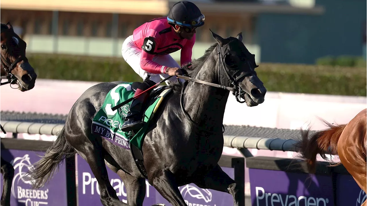 2024 King’s Plate Picks & Best Bets: My Boy Prince Takes on 12 in Canadian Classic