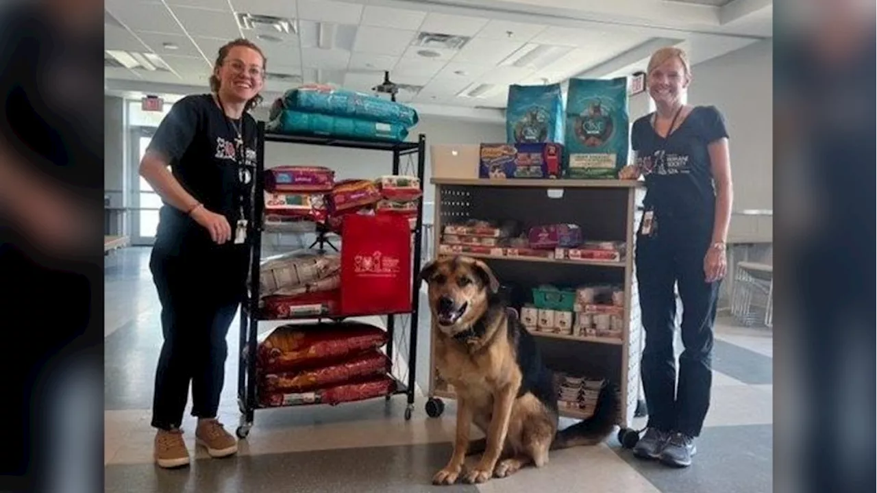 Ottawa pet food bank seeing high demand