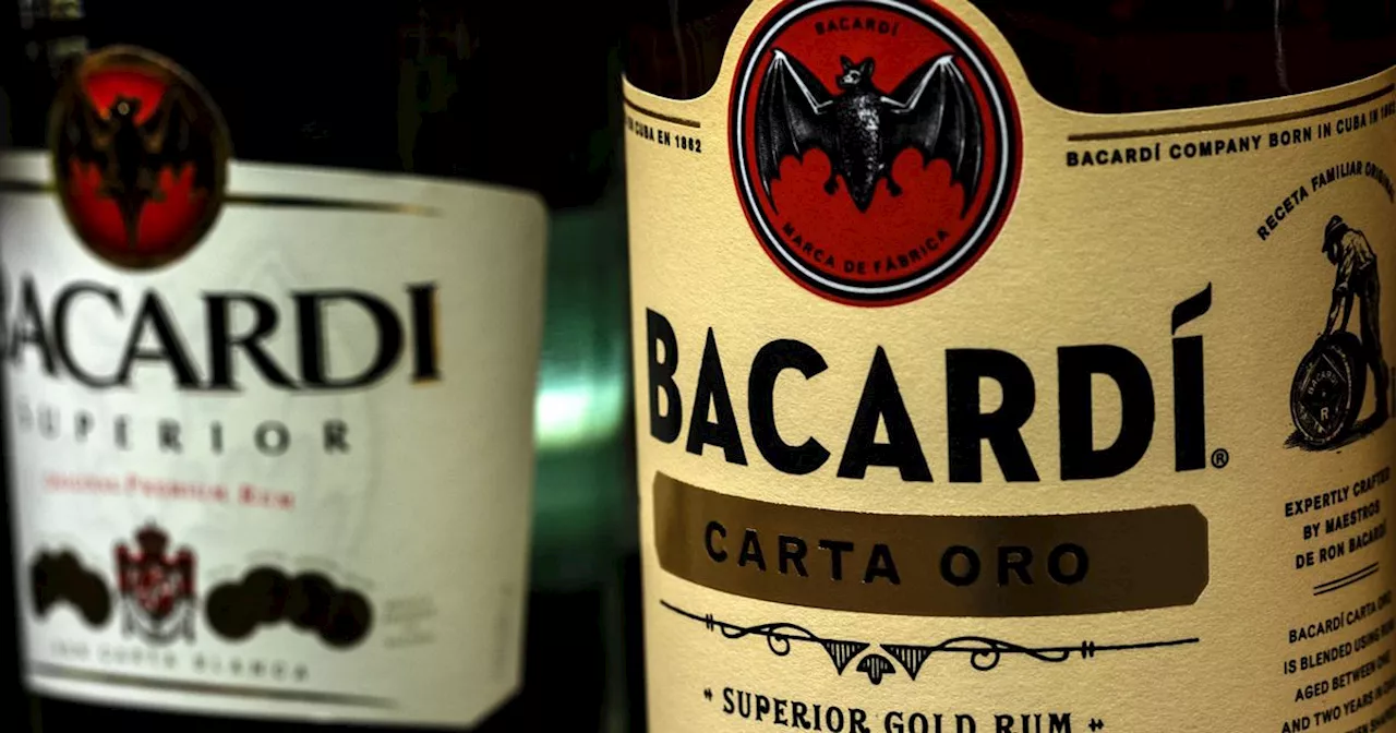 People finally discover hidden meaning behind Bacardi logo after 160 years