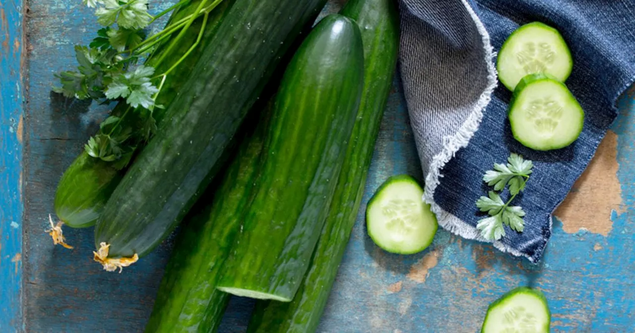 Make TikTok's viral cucumber salad recipe people say is the 'best thing' ever