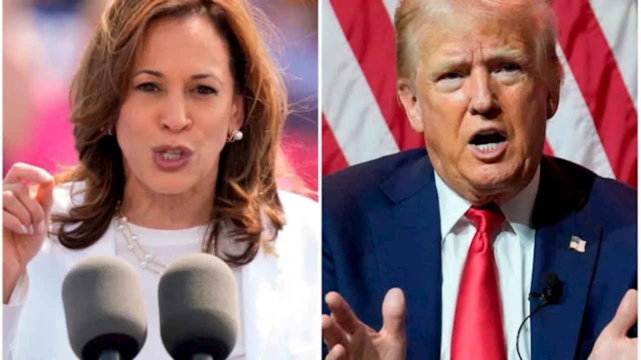 Kamala Harris spends 10 times as much as Trump on digital ad blitz