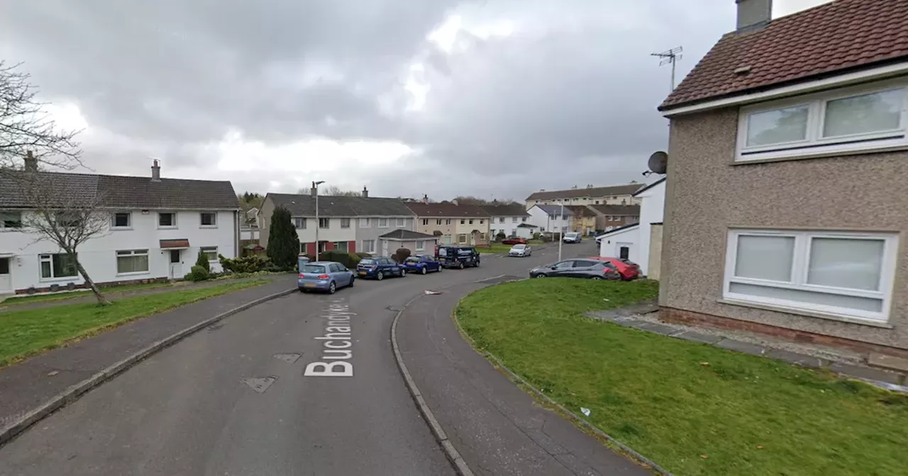 Man arrested after homes and cars targeted in 'quiet' East Kilbride neighbourhood