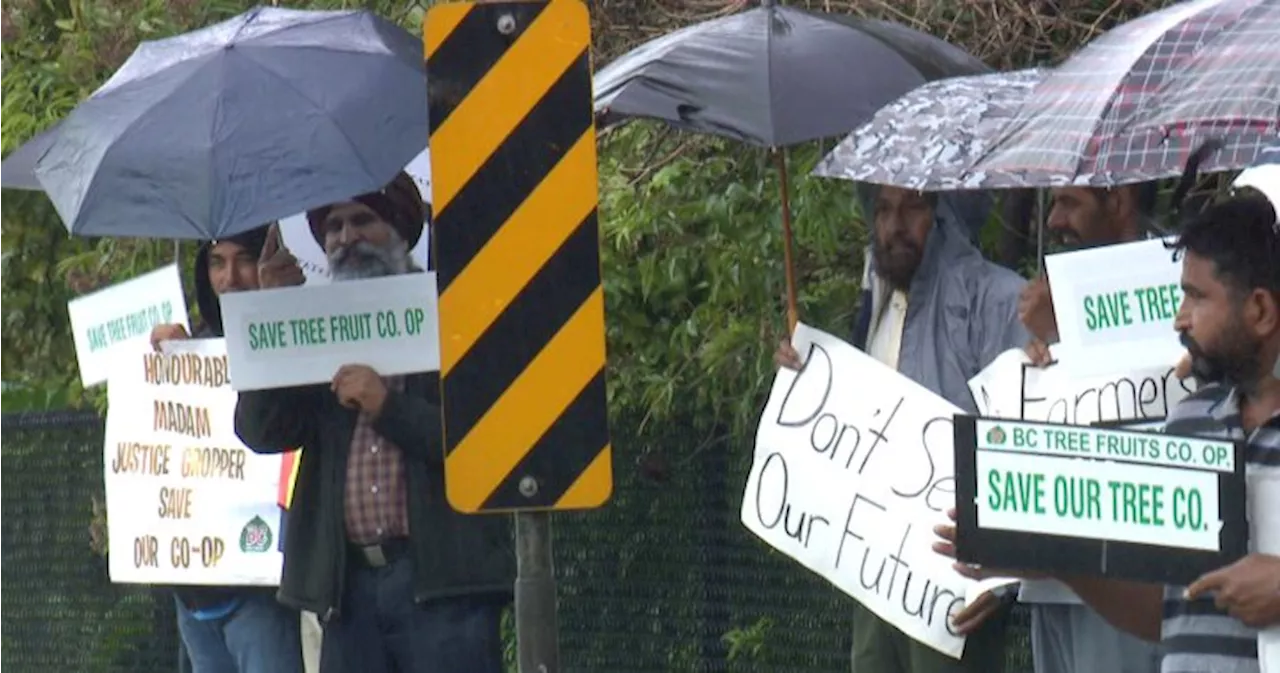 Farmers gather in Kelowna to protest BC Tree Fruits closure