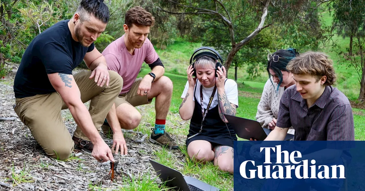 Click, crackle and pop: healthy soil makes more noise, scientists find