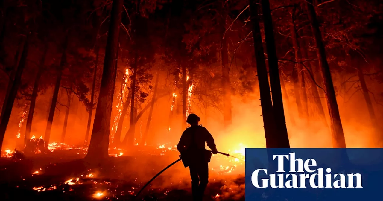 ‘The place I love is in flames’: the people living and working in extreme heat