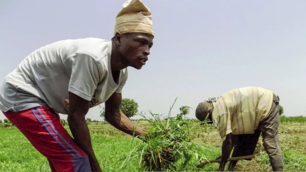 Bandits demand N224m as farm levies in three years