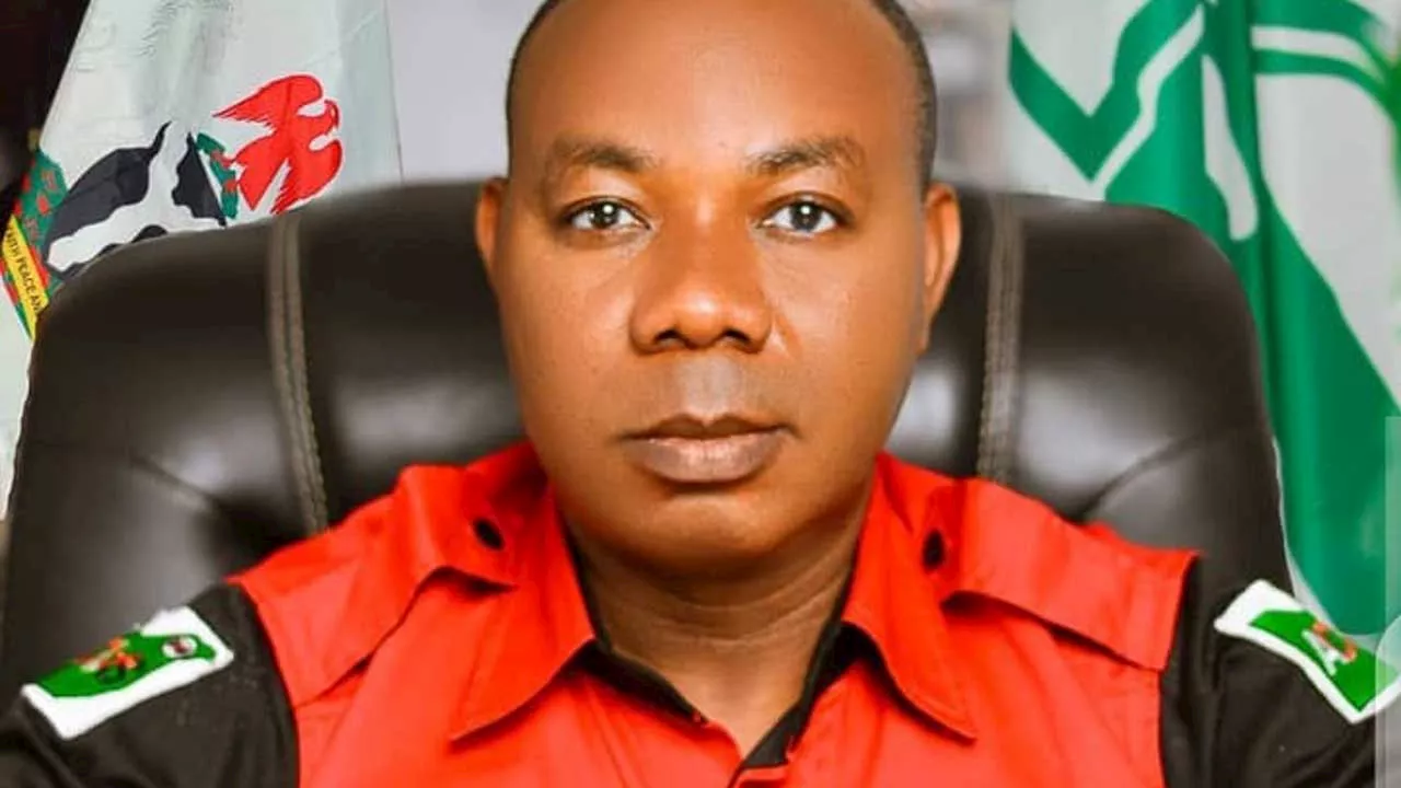 ‘Professionalism, regulations key to effective transport system’