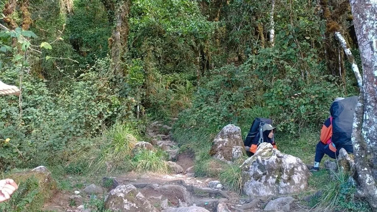 Jelang Peringatan Kemerdekaan RI, Pendaki Padati Gunung Bawakaraeng