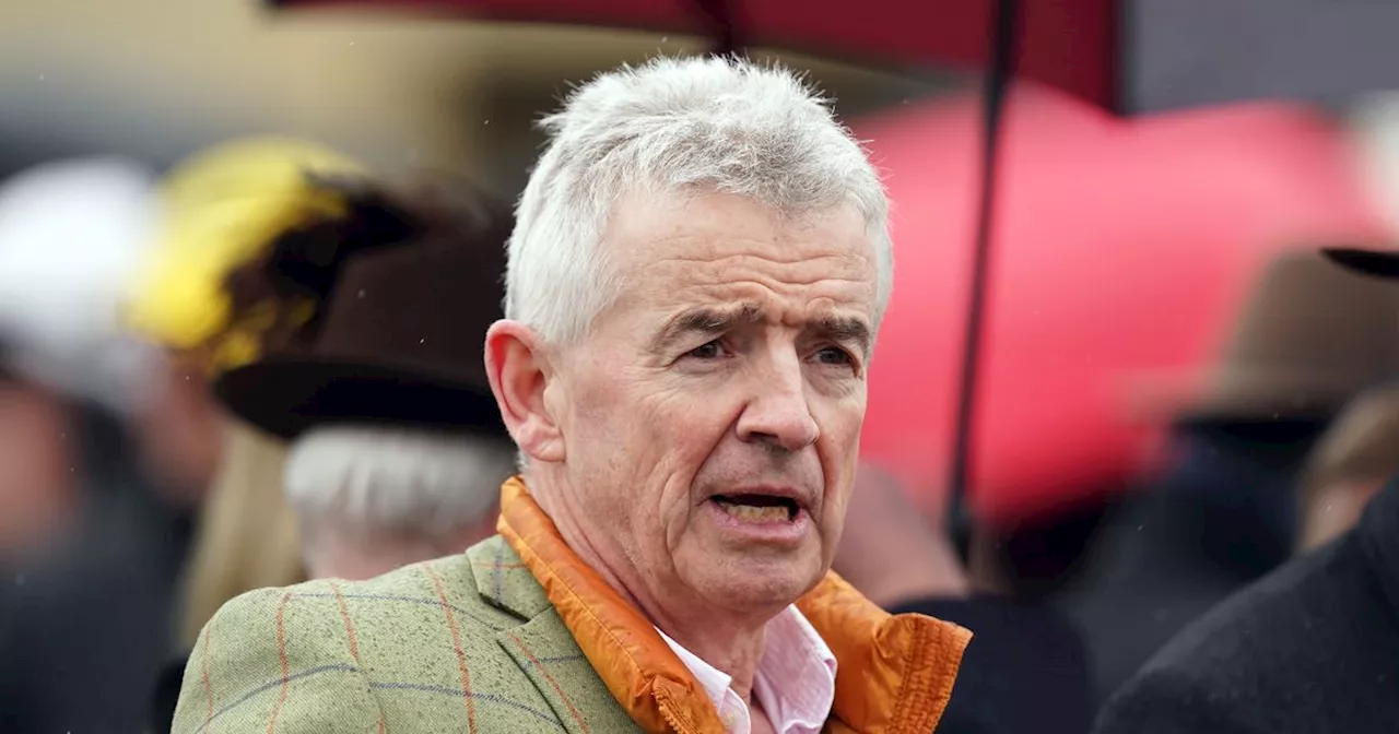 Michael O'Leary sells seven horses for over €150k - including National hope