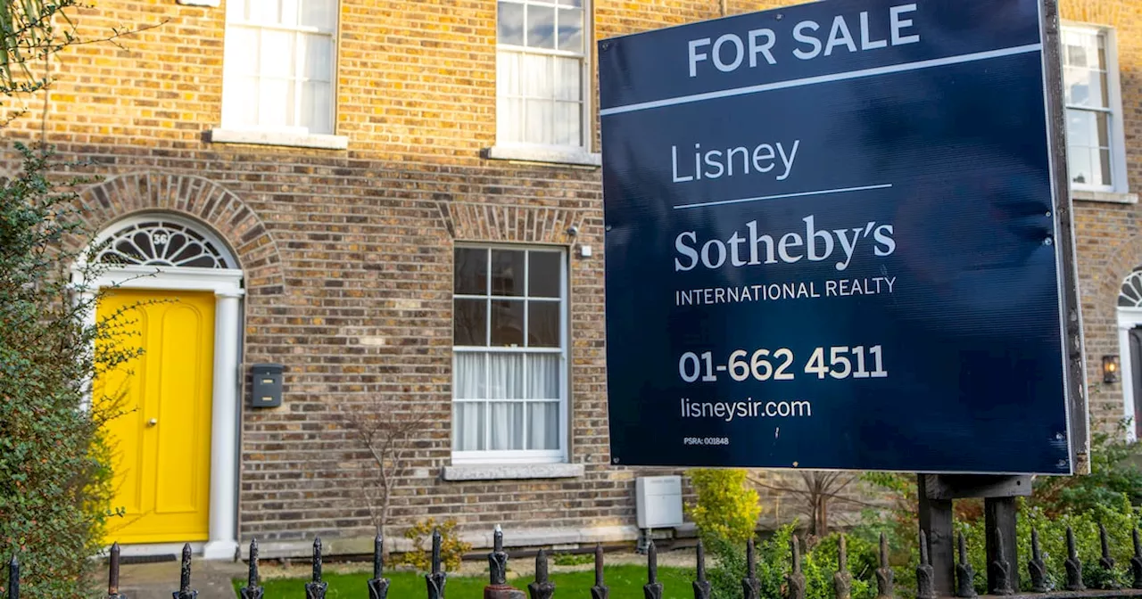 Lisney expects return to profit after two years of losses