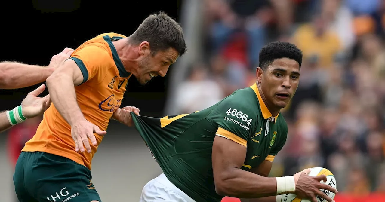 Matt Williams: Liberated Springboks rediscover their rugby soul