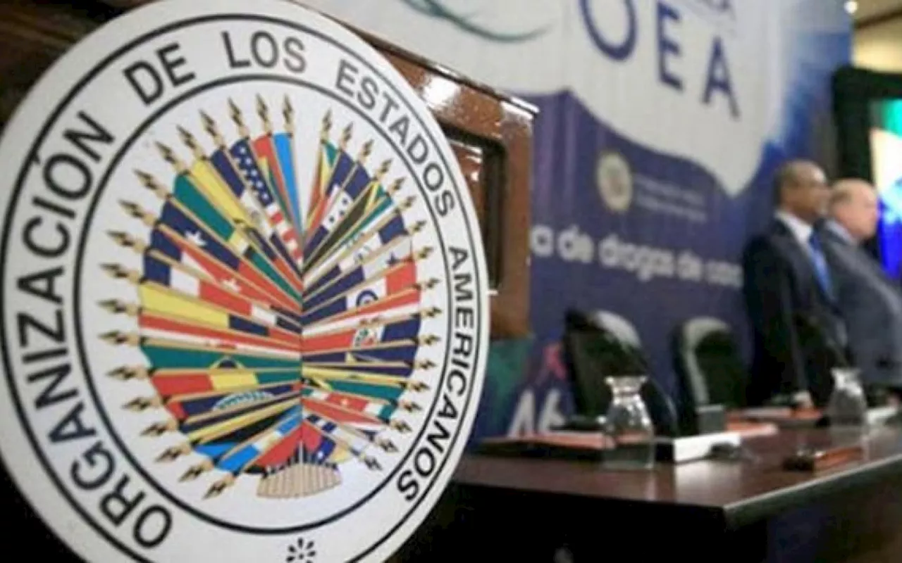 Venezuela: OEA aprova resolução que cobra checagem imparcial de eleições e proteção de asilados