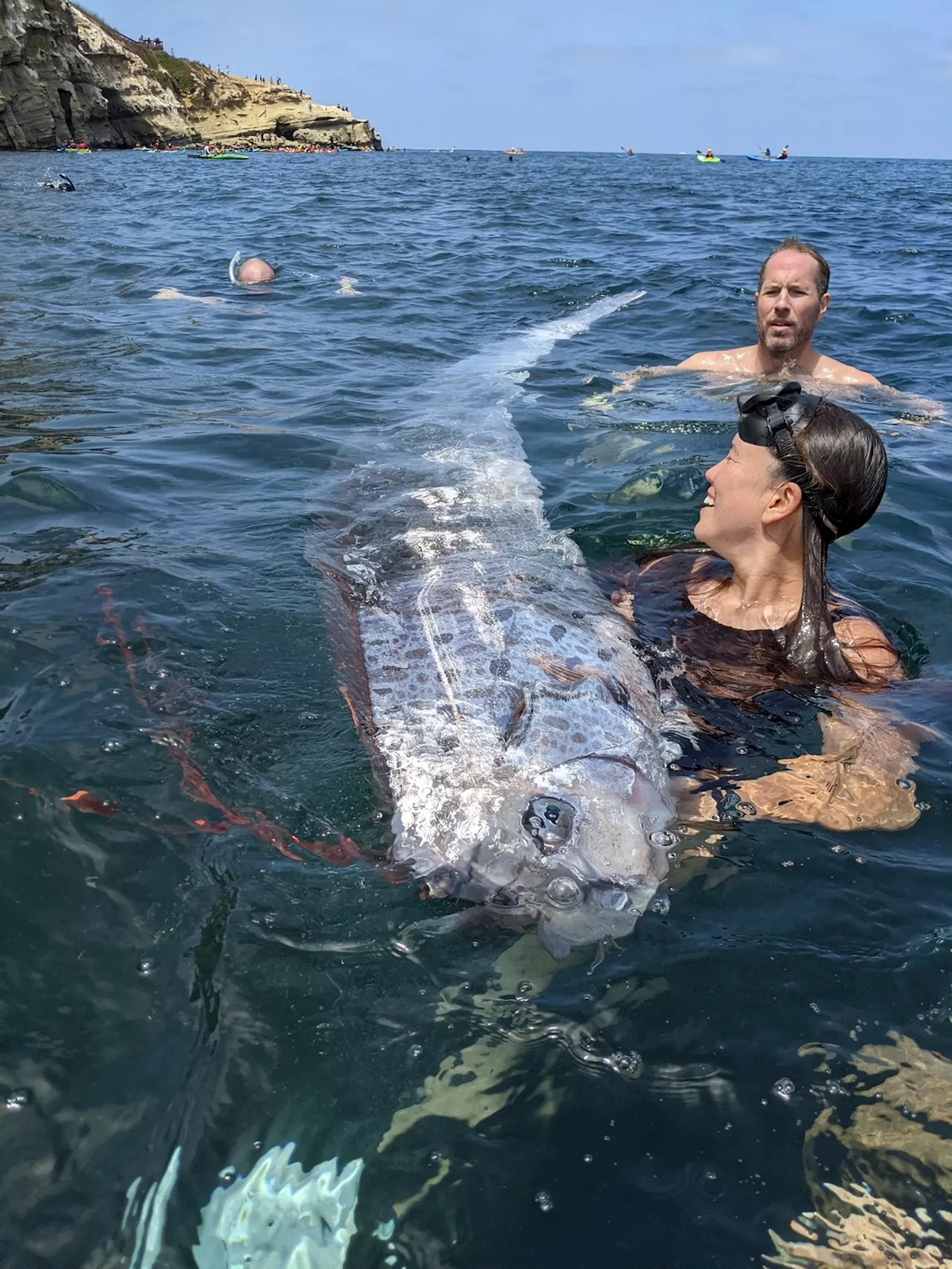 'Peixe do juízo final' é encontrado em praia na costa da Califórnia; espécie costuma ser vista antes de catástrofes