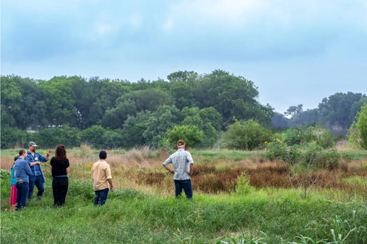 San Antonio will soon be home to South Texas’ first Arboretum. Its organizers want your input.