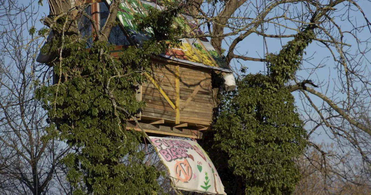 Ostumfahrung Wiener Neustadt: Von Gegnern gebautes Baumhaus geräumt