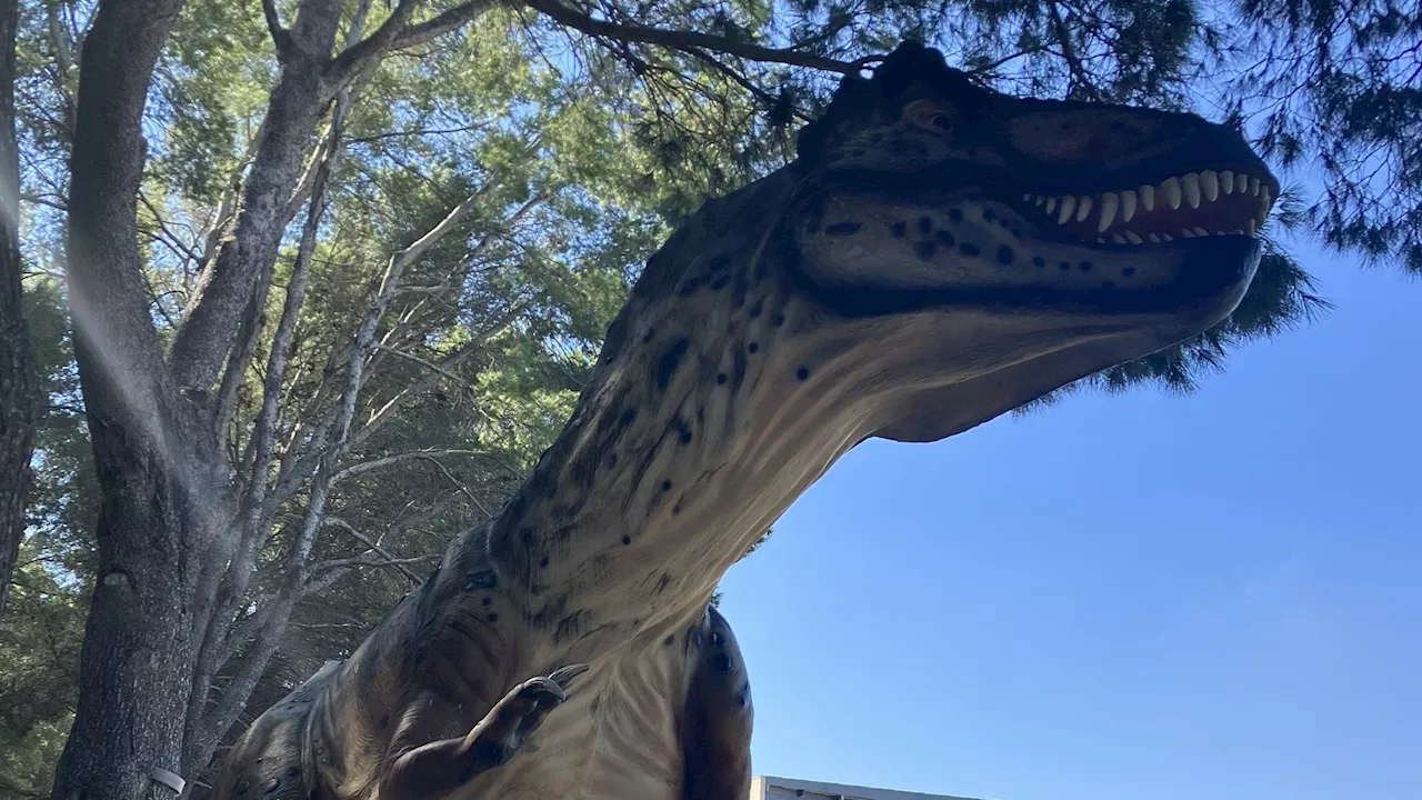 Du Diplodocus au Tyrannosaure Rex, l