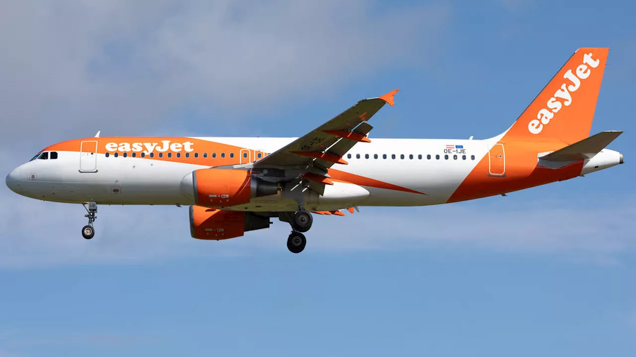 Man jailed for eight months after drunkenly urinating in front of passengers on EasyJet flight to Tenerife