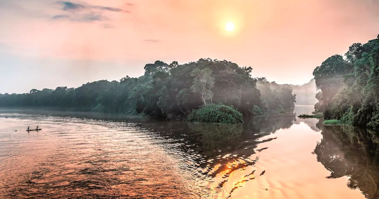 Forêt impénétrable, bancs de sable, oiseaux remarquables… Au Congo, croisière secrète au fil de l’eau