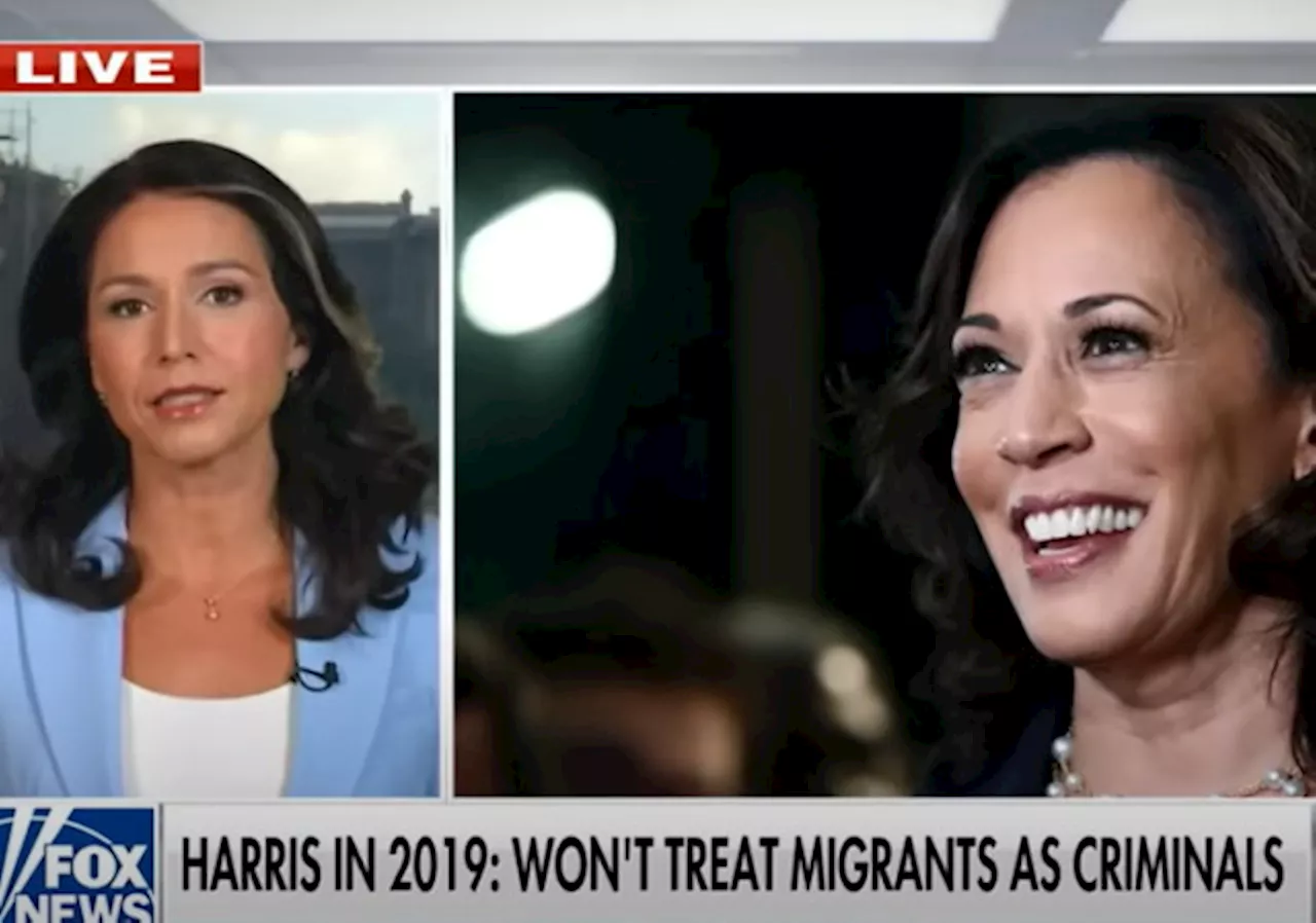 Tulsi Gabbard: ‘Kamala Harris is an Empty Suit’ Candidate Who Will ‘Say Anything’