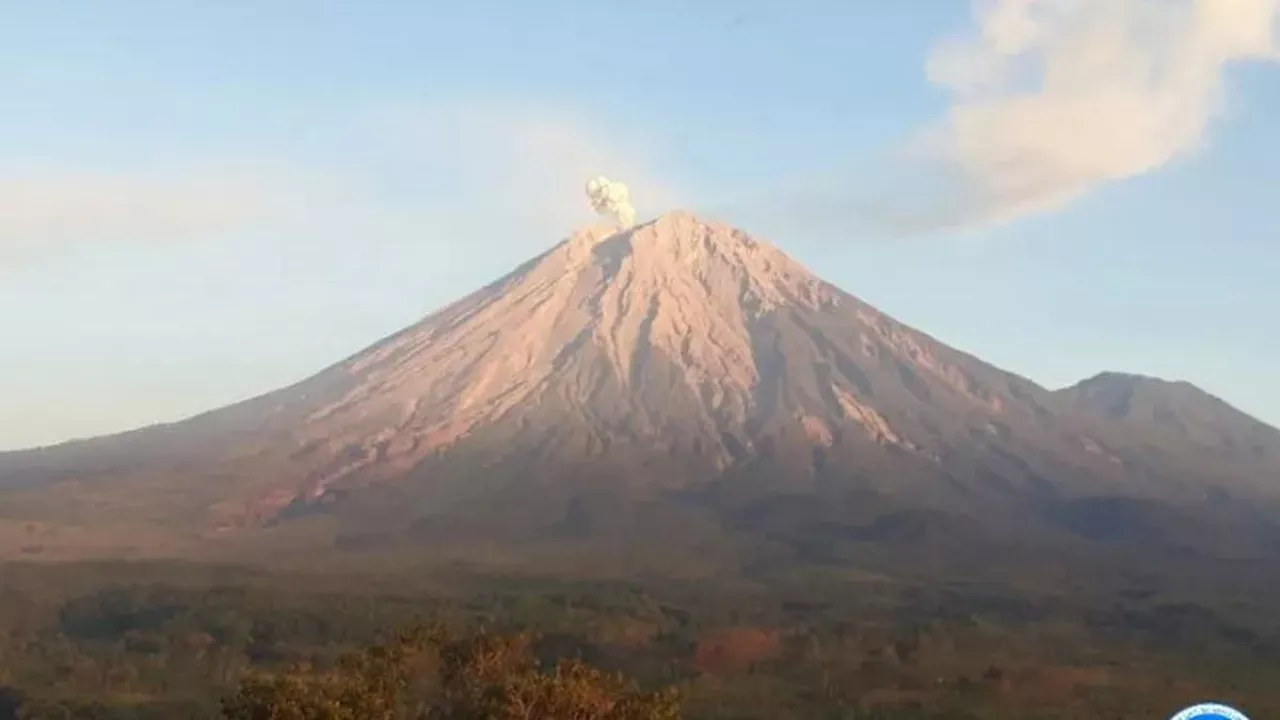 Gunung Semeru Dua Kali Erupsi pada Jumat Hari Ini, Lontarkan Abu Vulkanik Putih Setinggi 788 Meter