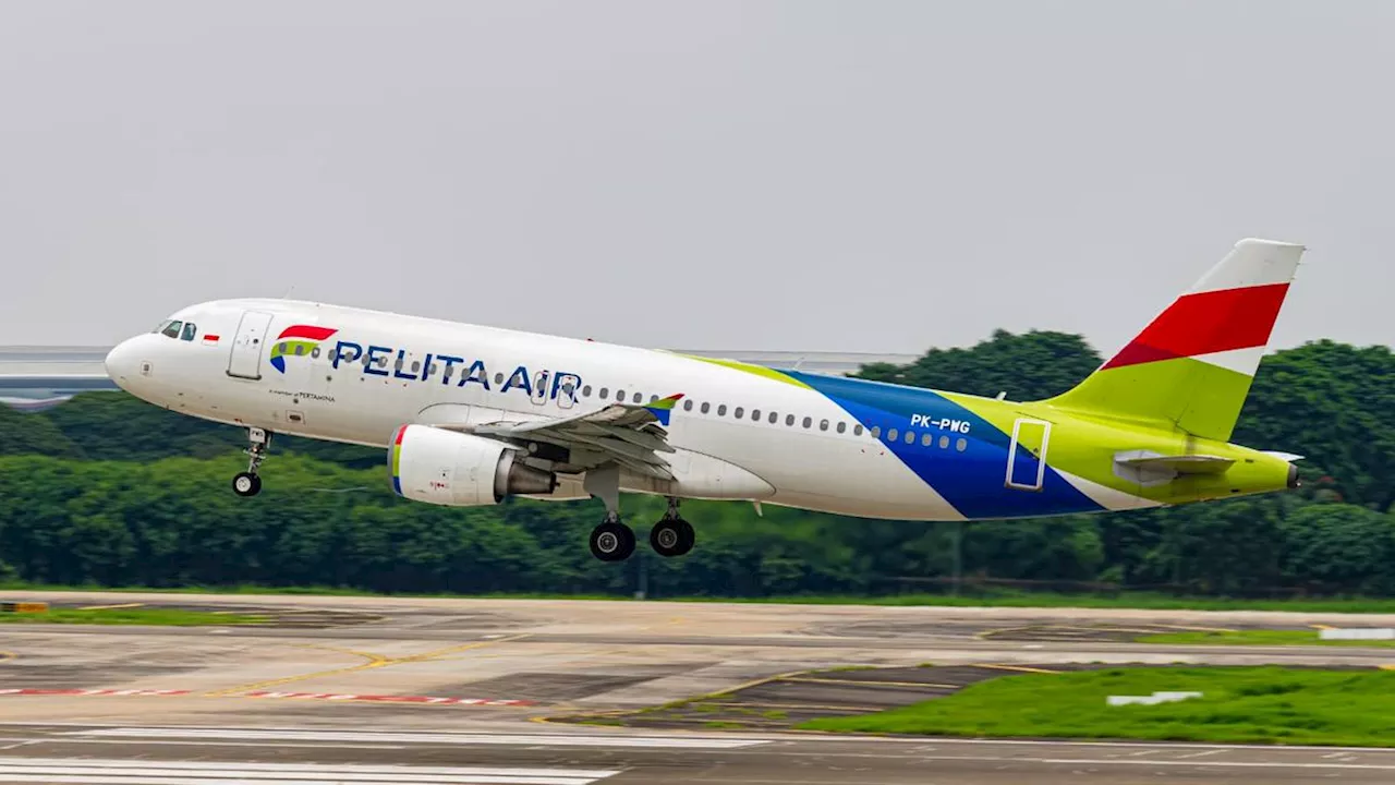 Pengamat penerbangan Apresiasi Pelita Air Catat On Time Performance hingga 95 Persen