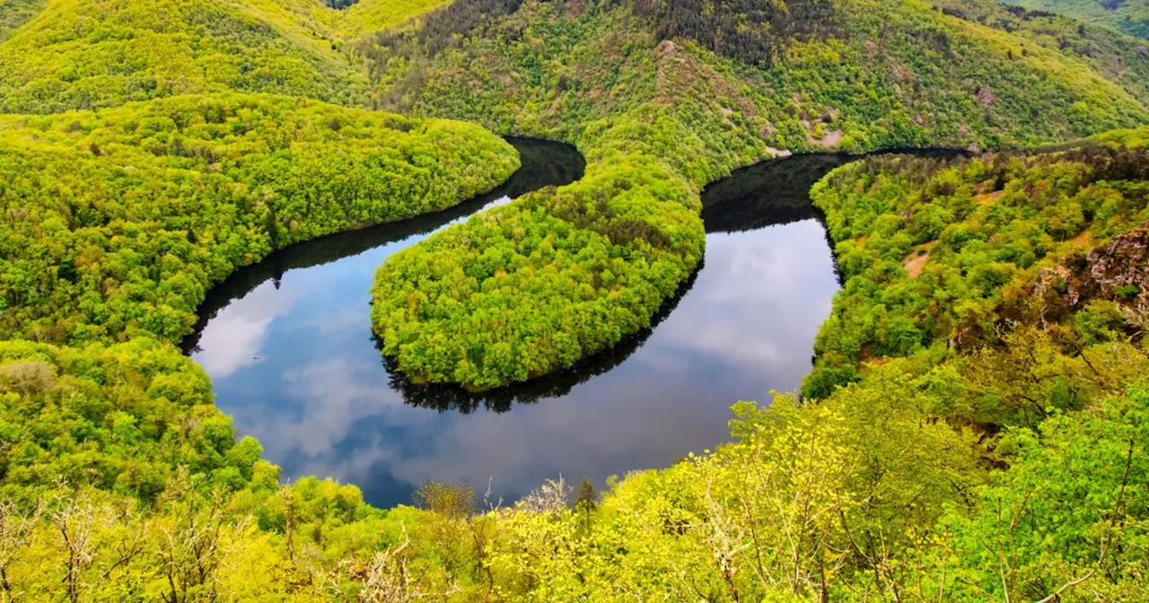 Du haut de ce belvédère, cette rivière du Puy-de-Dôme prend des allures d’Amazonie