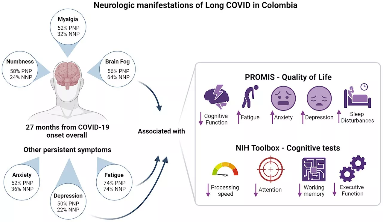 In COVID-19 patients, neurological symptoms may last up to three years