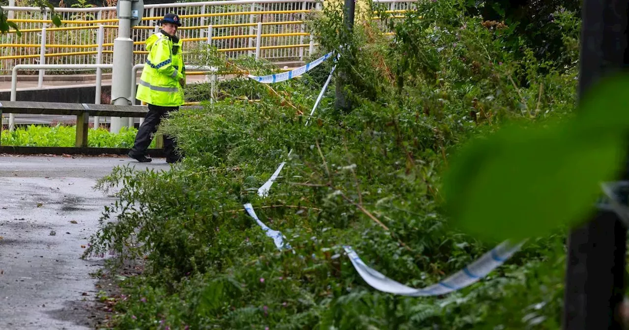 Man's death in Wythenshawe woodland no longer being investigated as murder