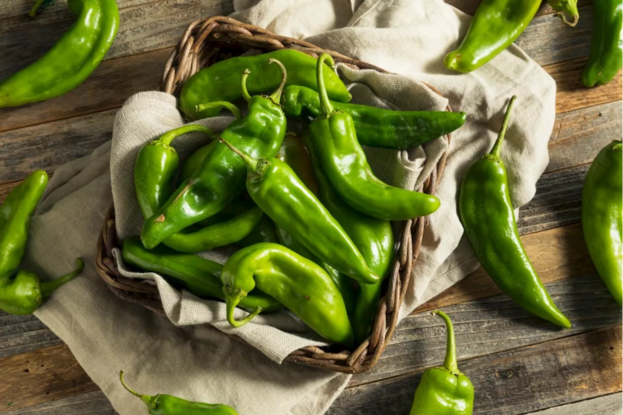 Hatch chile season: Mollie Stone’s markets roasting, cooking for customers