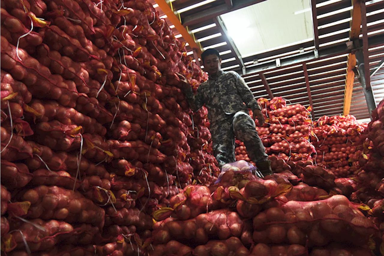 Raid yields 300 tons of smuggled veggies