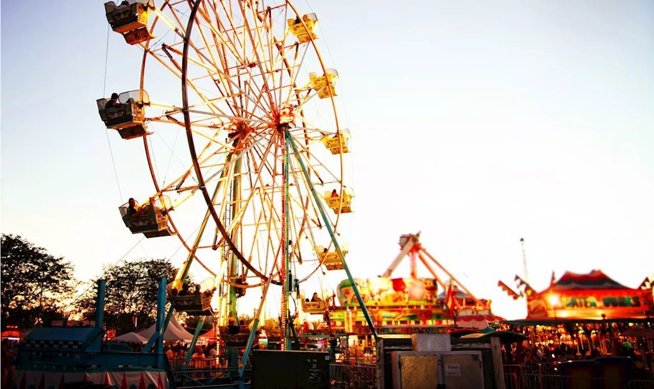 Years-old attendance record broken at Illinois State Fair thanks to one artist