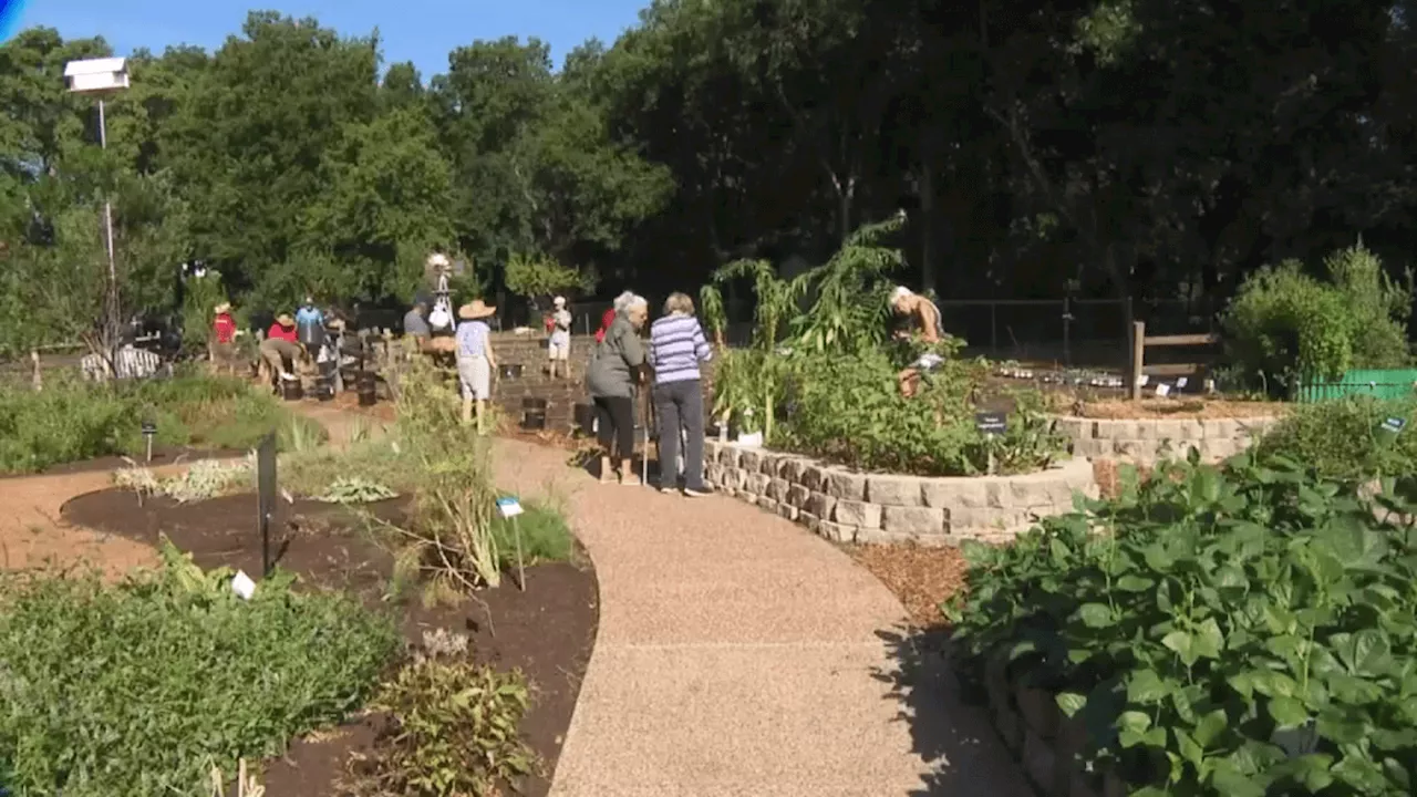 Fort Worth Botanic Garden and Union Gospel Mission partner to fight food insecurity